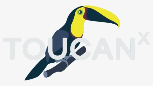 Toucan, HD Png Download, Transparent PNG