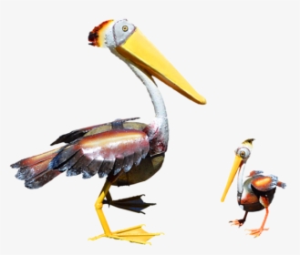 Pelican Products Toucan Fauna Beak - Brown Pelican, HD Png Download, Transparent PNG