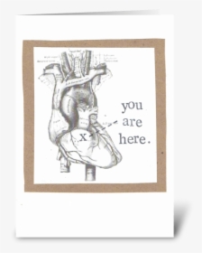 You Are Here Anatomical Heart Greeting Card - Valentine's Day Medical Puns, HD Png Download, Transparent PNG