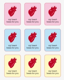 Transparent Anatomical Heart Png - Real Heart Valentines Card, Png Download, Transparent PNG