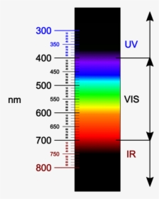 Closest Light Outside The Visible Spectrum, HD Png Download, Transparent PNG
