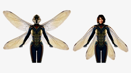 Wasp Ant Man And The Wasp Png, Transparent Png, Transparent PNG