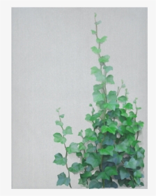 Vines, Climbing Plant Cotton Linen Wall Tapestry 60 - Watercolor Vines, HD Png Download, Transparent PNG