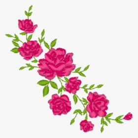 Rose Vine Png - Garden Roses, Transparent Png, Transparent PNG