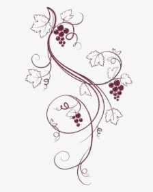 Clip Art Drawn Vines - Easy Grape Vine Drawing, HD Png Download, Transparent PNG
