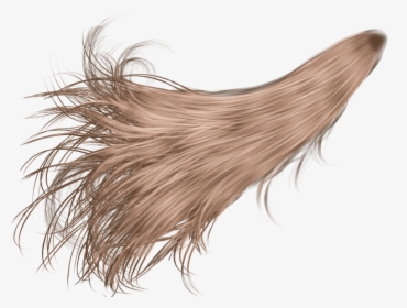 White Hair Png , Png Download - Transparent Pony Tail, Png Download, Transparent PNG