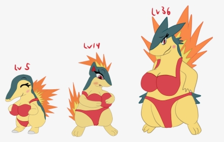 Evolution Of Cyndaquil - Cyndaquil Evolution, HD Png Download, Transparent PNG