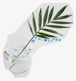 #blue #emoji #challenge #water #nature #plants #stayhydrated - Green Palm Leaf Png, Transparent Png, Transparent PNG