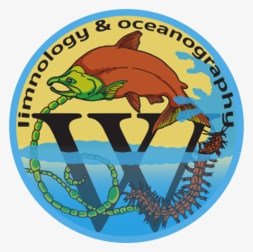 Ocean Lim Wiki V3 Transparent - Wikiproject, HD Png Download, Transparent PNG