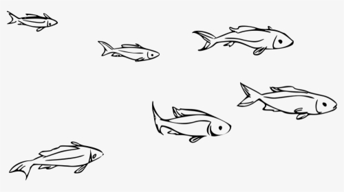 Animal, Fish, Ocean, Ocean Theme, River, Sea - School Of Fish Clipart Black And White, HD Png Download, Transparent PNG