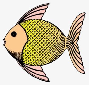 Tropical Fish - Fish With Scales Clipart, HD Png Download, Transparent PNG