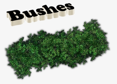 Bushes Png Images - Hedge, Transparent Png, Transparent PNG
