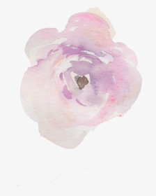 Clip Art Pink Camellia Bush - Impatiens, HD Png Download, Transparent PNG