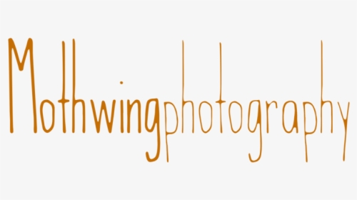 Mothwing Photography - Calligraphy, HD Png Download, Transparent PNG