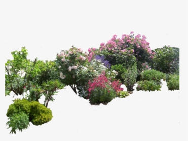 #flowers #bush #bushes #garden @ladymariacristina - Garden Png, Transparent Png, Transparent PNG