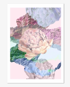 Peonies You, HD Png Download, Transparent PNG