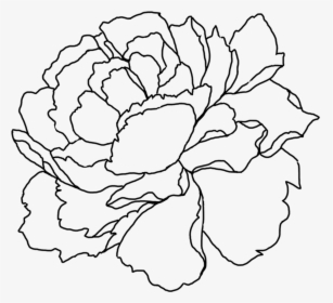 Sign Up To Join The Conversation - Flower Line Art Png Peony, Transparent Png, Transparent PNG