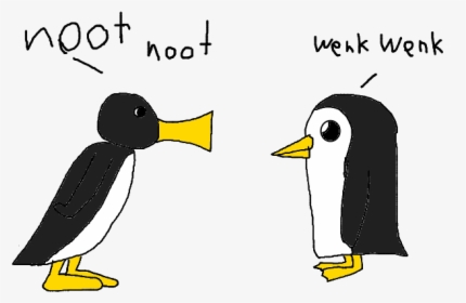 Hoo Penguin Bird Beak Penguin Vertebrate Flightless - Noot Noot Vs Gunter, HD Png Download, Transparent PNG