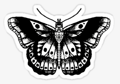 #harrystyles #mariposa #tumblr #hipster - Harry Styles Tattoos Png, Transparent Png, Transparent PNG