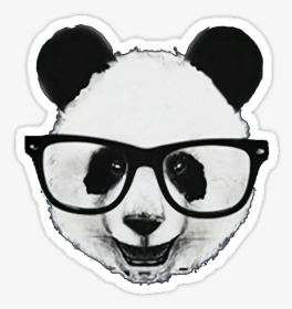 #baby #animals #animales #emoticon #hipster #tumblr - Panda Hipster, HD Png Download, Transparent PNG