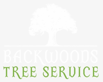 Backwoods Tree Service Logo - Tree, HD Png Download, Transparent PNG