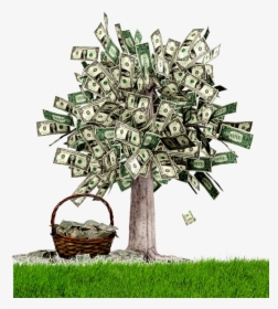 Dollar Money Tree, HD Png Download, Transparent PNG