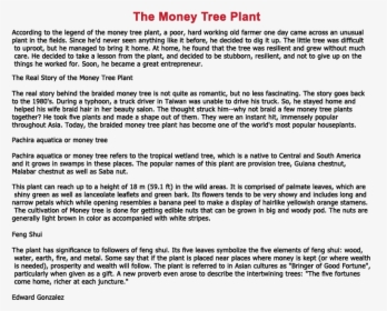 Jade Plant Feng Shui - Story Of Money Tree, HD Png Download, Transparent PNG