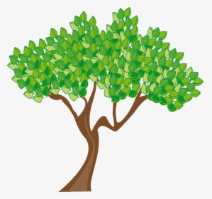 , Get Multiple Tree Service Estimates - Summer Tree Clipart, HD Png Download, Transparent PNG