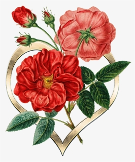 Heart, Metal, Gold, Flowers, Texture, Graphic - Botanical Red Flower Illustrations, HD Png Download, Transparent PNG