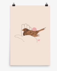 Brown Thrasher , Png Download - Illustration, Transparent Png, Transparent PNG