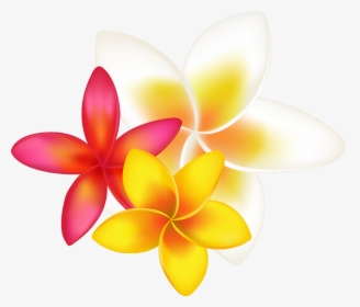 Tropical Flower Clipart Png Transparent Png , Png Download - Orange Tropical Flower Drawing, Png Download, Transparent PNG