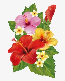 Hawaii Clipart Plumeria Hawaiian - Tropical Flowers Transparent Background, HD Png Download, Transparent PNG