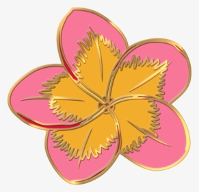 Plumeria Flower Pin - Illustration, HD Png Download, Transparent PNG
