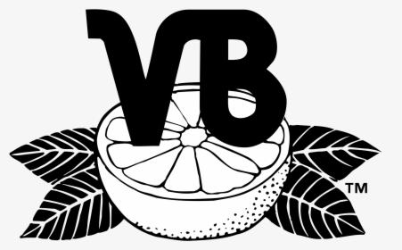 Vero Beach Dodgers Logo Png Transparent - Vero Beach Devil Rays, Png Download, Transparent PNG