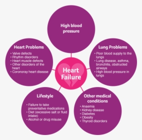 Hf Basics Circles - Heart Failure Causes, HD Png Download, Transparent PNG