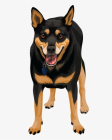 Wall-e Lee - Rottweiler, HD Png Download, Transparent PNG