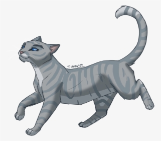 Grey Cat With Blue Eyes Clipart - Silverstream Warrior Cat, HD Png Download, Transparent PNG
