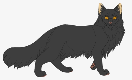 Black Kitten With Blue Eyes - Dark Grey Cat With Brown Eyes, HD Png Download, Transparent PNG
