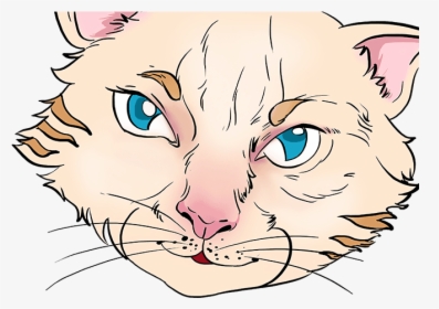 How To Draw Cat Eyes - Cat Yawns, HD Png Download, Transparent PNG