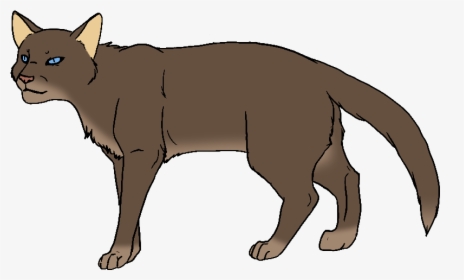 Clip Art Brown Cat With Blue Eyes - Red Brown Warrior Cat, HD Png Download, Transparent PNG