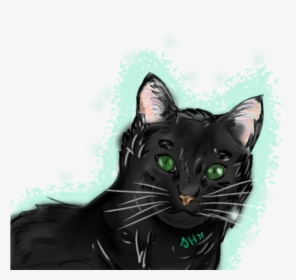 Re Black Cat W/ Green Eyes , Png Download - Black Cat, Transparent Png, Transparent PNG