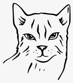 Cat - Free Cat Face Png File, Transparent Png, Transparent PNG