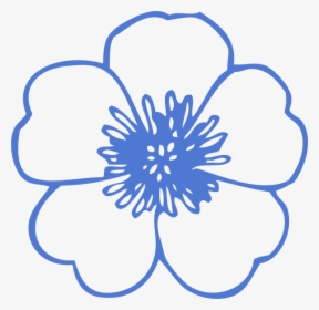 Flowers With No Color, HD Png Download, Transparent PNG