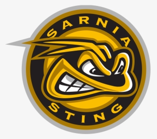 Sarnia Sting Logo - Bracknell Bees Logo, HD Png Download, Transparent PNG
