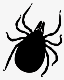 Tick Bug Png - No Ticks And Mosquitoes, Transparent Png, Transparent PNG