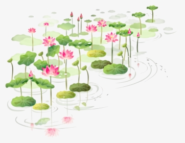 Drawn Lotus Shapla - Floral Lotus Frame Png, Transparent Png, Transparent PNG