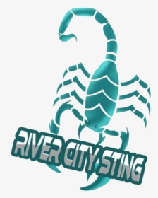 River City Sting - Scorpion, HD Png Download, Transparent PNG