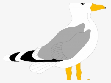 Herring Gull Clip Art, HD Png Download, Transparent PNG
