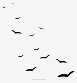 Seagulls Coloring Page - Gaivota Png, Transparent Png, Transparent PNG