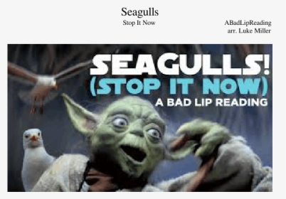 Seagulls Stop It Now Lyrics, HD Png Download, Transparent PNG